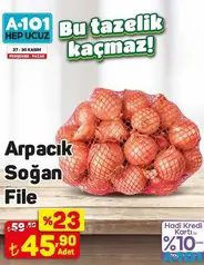 ARPACIK SOĞAN FİLE fiyat ve kampanya bilgisi